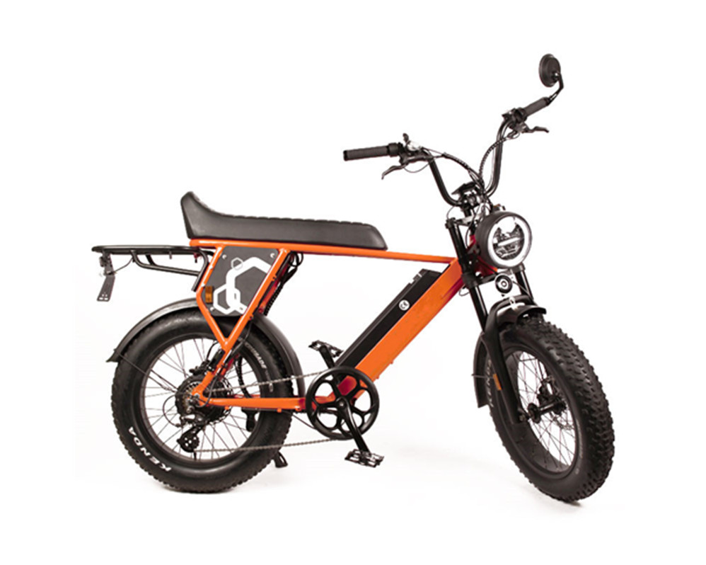 Суперэлектромотоцикл скремблер типа ebike utility с широкими шинами e bike speed Lee9410-1
   