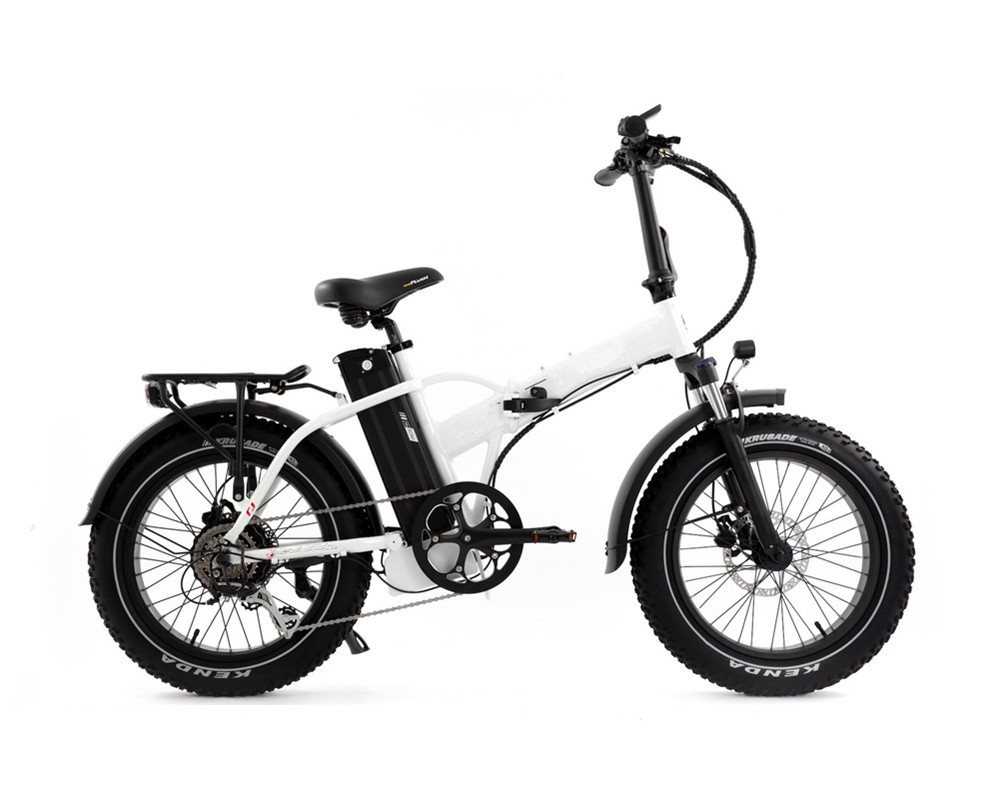 Snow Fat Folding Electric Bike Lee9130