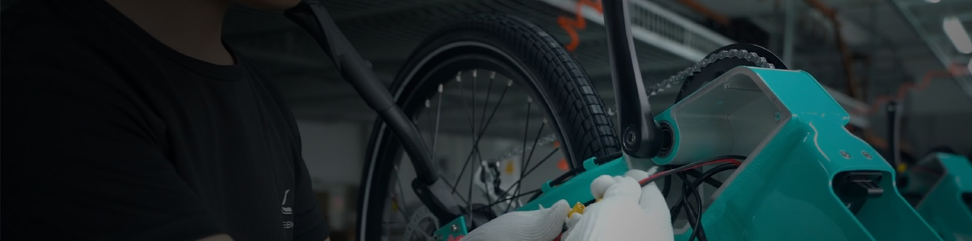 Electric Fat Tire Bike